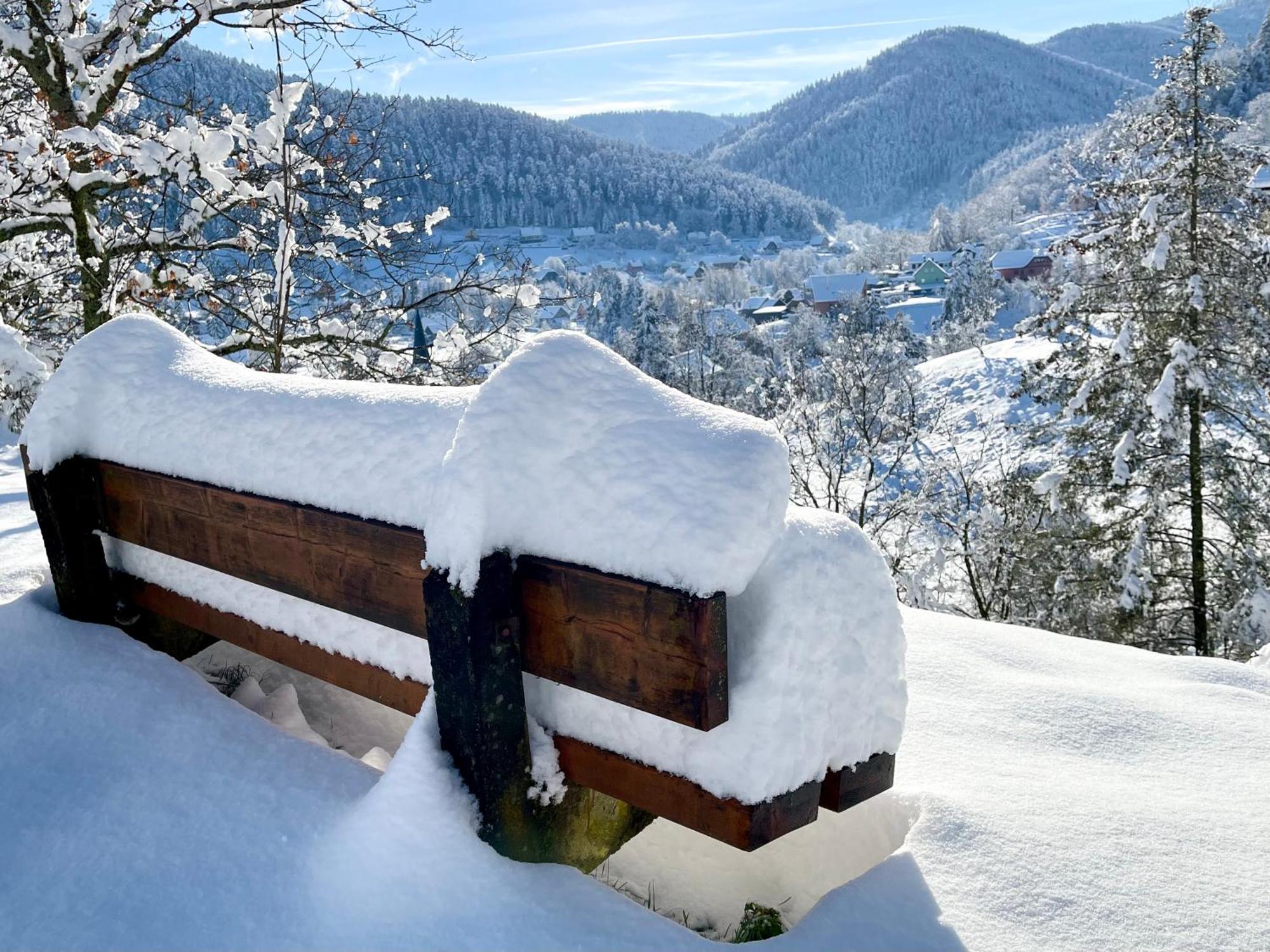 Lo'Gite L'Allee Du Val Villa Lalaye Dış mekan fotoğraf