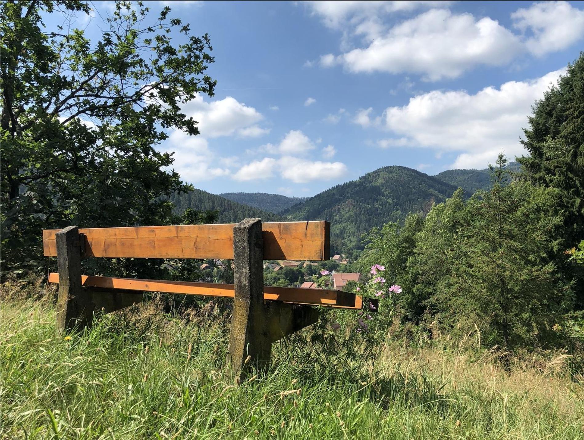 Lo'Gite L'Allee Du Val Villa Lalaye Dış mekan fotoğraf