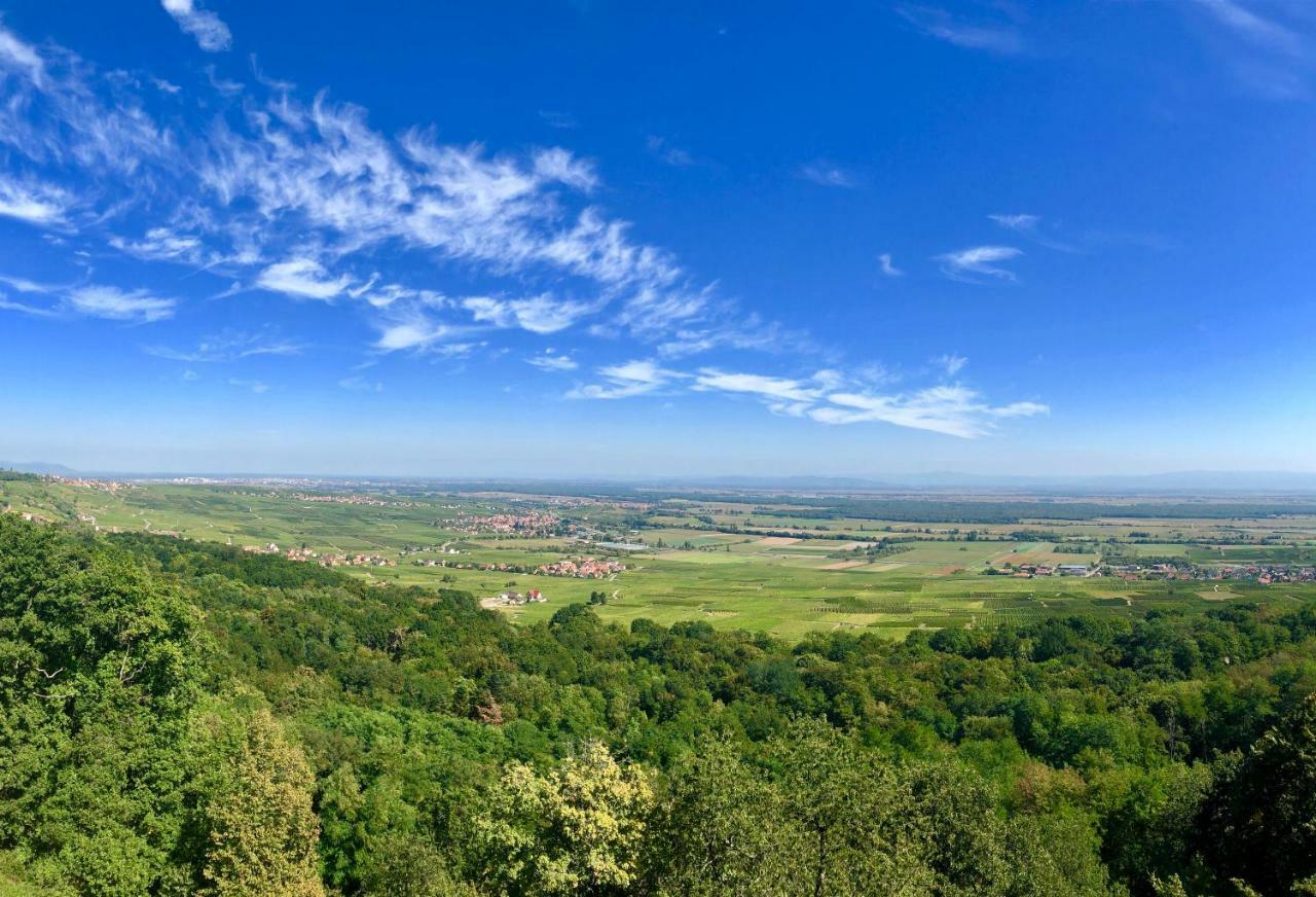 Lo'Gite L'Allee Du Val Villa Lalaye Dış mekan fotoğraf