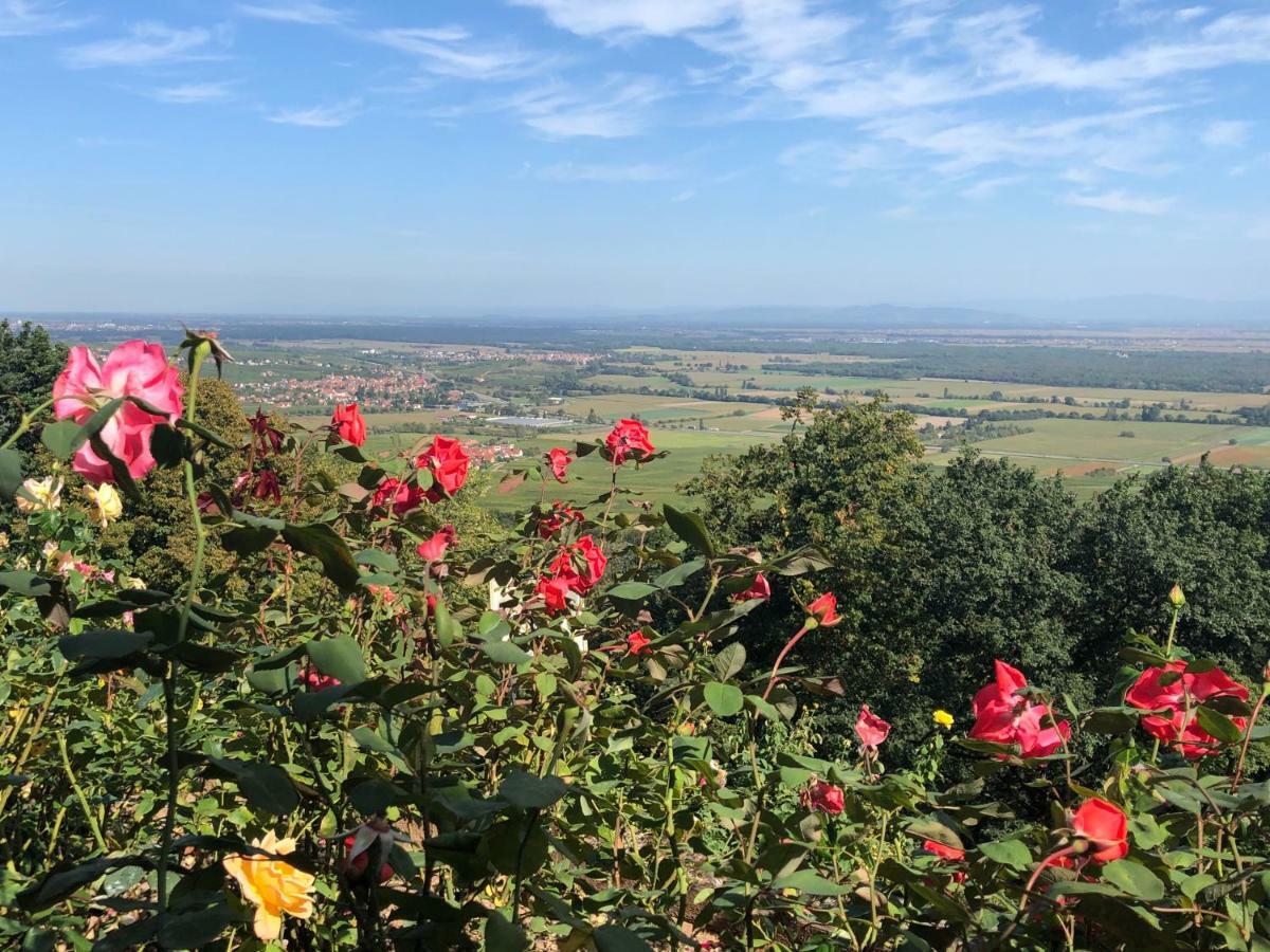 Lo'Gite L'Allee Du Val Villa Lalaye Dış mekan fotoğraf